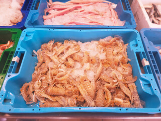 Selective focus on freshly caught Squilla mantis, a species of mantis shrimp offered for sale in the port of Calpe, Costa Blanca. Mediterranean Sea. Also "pacchero" or "canocchia".