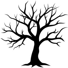 Silhouette of a bare deciduous tree with intricate branches against a stark white background