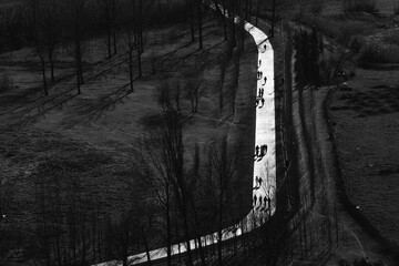 Black and white top-down view of people walking in park casting long shadows on straight path surrounded by bare trees. Minimal geometric composition.