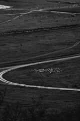 Black and white landscape with winding rural road and distant herd of sheep on field