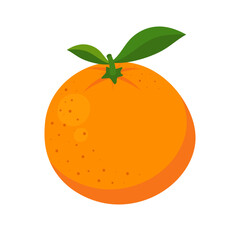 Mandarin orange fruit isolated on white background. Fresh citrus vector illustration. Festive fruit symbol for Christmas and New Year.