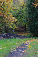 Wooden staircase leads upwards through foliage. Ideal for website backgrounds or travel brochures