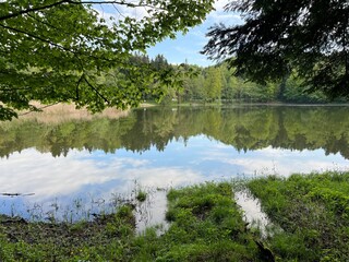 Artificial lake Trakoscan (Zagorje, Croatia) - Die See Trakoscan oder künstlicher Trakoscansee (Kroatien) - Umjetno jezero Trakošćan ili Trakošćansko jezero (Hrvatsko zagorje, Hrvatska)