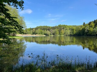 Artificial lake Trakoscan (Zagorje, Croatia) - Die See Trakoscan oder künstlicher Trakoscansee (Kroatien) - Umjetno jezero Trakošćan ili Trakošćansko jezero (Hrvatsko zagorje, Hrvatska)