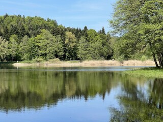 Artificial lake Trakoscan (Zagorje, Croatia) - Die See Trakoscan oder künstlicher Trakoscansee (Kroatien) - Umjetno jezero Trakošćan ili Trakošćansko jezero (Hrvatsko zagorje, Hrvatska)
