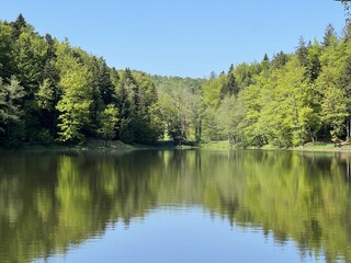 Artificial lake Trakoscan (Zagorje, Croatia) - Die See Trakoscan oder künstlicher Trakoscansee (Kroatien) - Umjetno jezero Trakošćan ili Trakošćansko jezero (Hrvatsko zagorje, Hrvatska)
