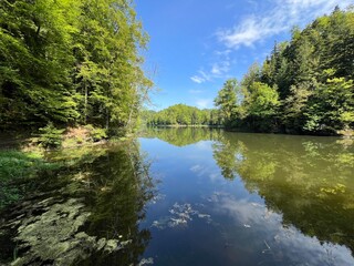 Artificial lake Trakoscan (Zagorje, Croatia) - Die See Trakoscan oder künstlicher Trakoscansee (Kroatien) - Umjetno jezero Trakošćan ili Trakošćansko jezero (Hrvatsko zagorje, Hrvatska)