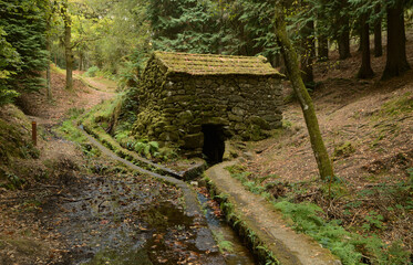 Ruin of a water mill located in the middle of an ancient forest in the Cabreira mountain in northern Portugal, a mill powered by the Levada da Vibora water, Cabeceiras de Bastos area