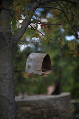 mailbox in the park