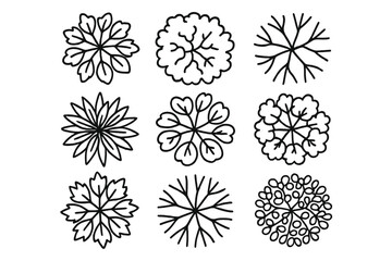 Various hand-drawn botanical designs featuring leaves and flowers in black and white