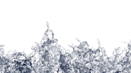 Realistic cloud or smoke transparent background. Template fog. Special effect of steam, png fog.	