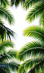 Fototapeta premium Lush green palm fronds form a vibrant canopy against a bright white sky, evoking a tropical paradise, white, leaves
