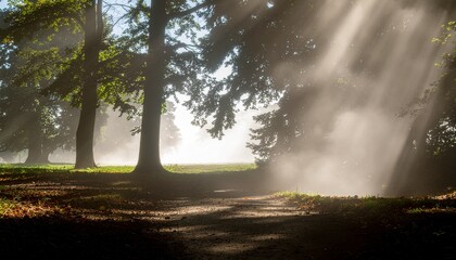 Dust particles in beam of sunlight, fleeting time and quiet.