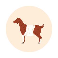 Brown and white African goat isolated in a simple round icon on white background vector illustration