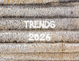 Trends 2026 new year symbol. Concept words Trends 2026 on beautiful grey mountain wall. Beautiful grey mountain wall background. Business and Trends 2026 new year concept. Copy space.