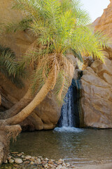 Beautiful waterfall with date palms at Chebika, Tunisia