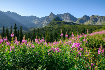 Góry Tatry - Polska © robert6666
