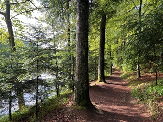 The educational pathway around the Lake Trakoscan 'Faerie Path' (Croatia) - Poučna staza Put Vila ili staze za šetnju i rekreaciju oko Trakošćanskog jezera (Hrvatsko Zagorje, Hrvatska)