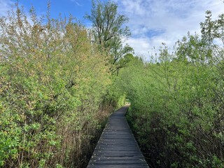 The educational pathway around the Lake Trakoscan 'Faerie Path' (Croatia) - Poučna staza Put Vila ili staze za šetnju i rekreaciju oko Trakošćanskog jezera (Hrvatsko Zagorje, Hrvatska)