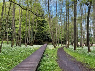 The educational pathway around the Lake Trakoscan 'Faerie Path' (Croatia) - Poučna staza Put Vila ili staze za šetnju i rekreaciju oko Trakošćanskog jezera (Hrvatsko Zagorje, Hrvatska)