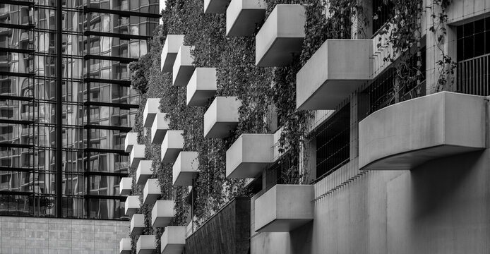 Right Angle Building Walls in Sunlight with Reflections.