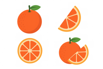 Fresh citrus orange fruit collection presenting whole, half and quarter slices, flat illustration style