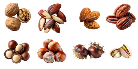 Fototapeta premium Assorted nuts displayed on a white background including walnuts, almonds, pecans, and chestnuts. PNG set