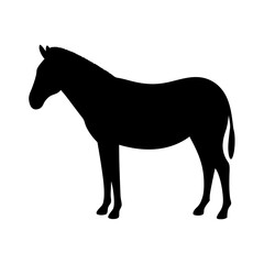 Vector art of silhouette of a horse, showcasing its elegant form and muscular build, a symbol of strength and grace in nature