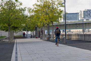 A cyclist on the Rhine embankment in Cologne