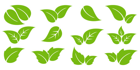 Leaf illustration in flat style, green leaves, nature theme, forest, garden and trees. plant ecosystem