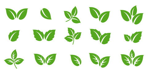 Leaf illustration in flat style, green leaves, nature theme, forest, garden and trees. plant ecosystem