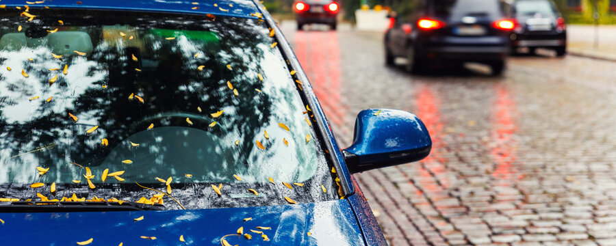 Fototapeta Moody scenic front head light view modern white car windshield covered golden yellow fallen leaves parked wet city street  autumn rainy day. Overcast sky rain road drive. Seasonal weather conditions