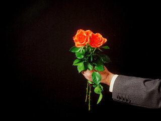 Man holding fresh red rose flower in his hand. Dark background. Romantic gesture and expression of love and gratitude. Copy space.