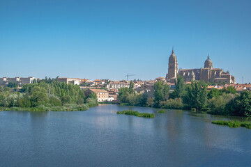 View of salamanca cathedral from enrique estevez bridge