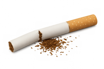 Broken cigarette representing quitting smoking and addiction struggles, raw tobacco spilling out, transparent background