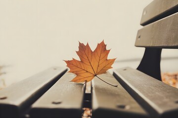 A minimalist autumn photograph with featuring maple leaf on wooden bench,different weather   