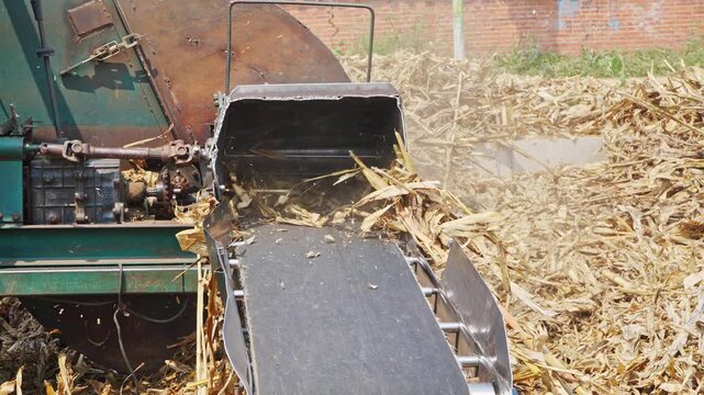 Workers using a machine to crush straw