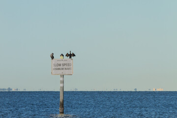 Cypress Point Beach in Tampa, Florida, is a serene coastal destination perfect for capturing natural beauty and tranquility.