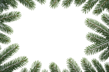 frame of pine branches сhristmas backdrop horizontal
