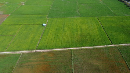 Aerial view of a green agricultural area