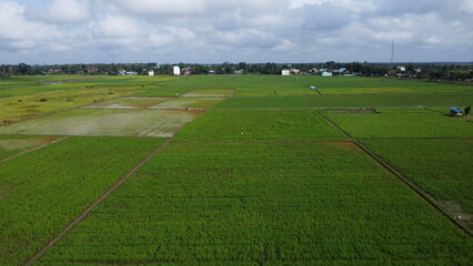 Aerial view of a green agricultural area