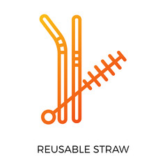 Sustainable Lifestyle Reusable Straw