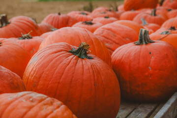 A close-up shot of bright orange pumpkins stacked together in a wooden crate, with a rustic autumn background. This image captures the essence of fall, harvest, and seasonal abundance.