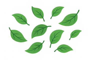 Green leaves vector elements with transparent background representing nature, ecology, and plant growth