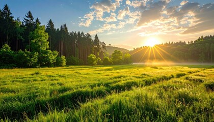 Golden Sunrise Over A Lush Green Meadow With Towering Pine Trees And Distant Rolling Hills Under A Blue Sky With Wispy Clouds And Sunburst Rays