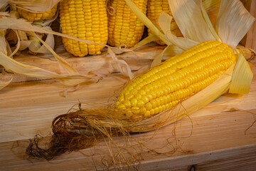 A natural macro shot of ripe corn on the cob emphasizing vibrant color and organic texture. Perfect...
