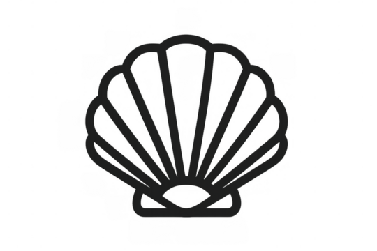 Scallop seashell line art icon symbol. Drawing an outline marine shell web element with transparent background