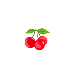 illustration of cherry fruit with leaves without background