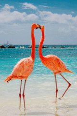 2 Lovebirds flamingos