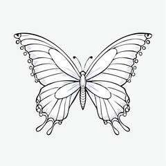 butterfly vector illustration design